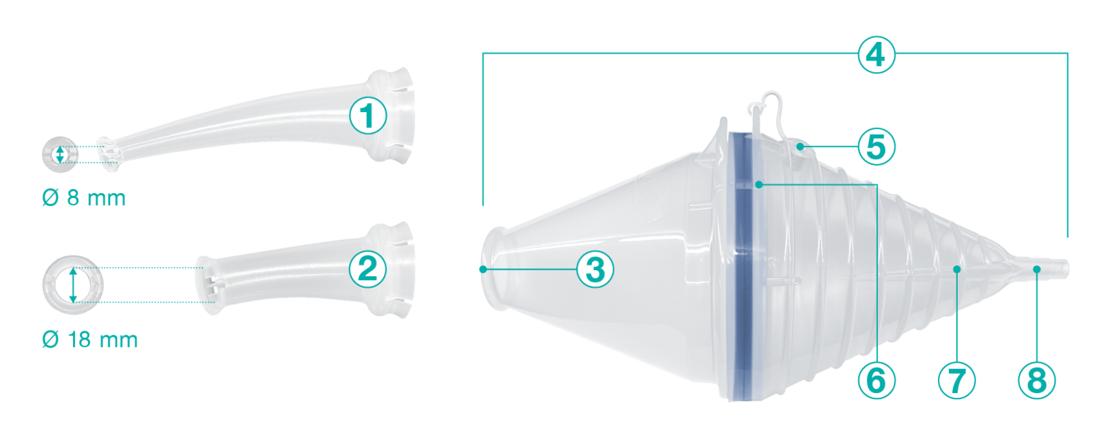 Device Anatomy 